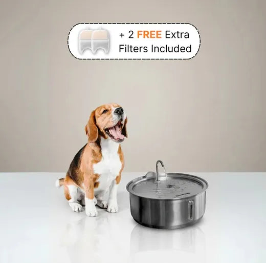 Large Capacity 7L Pet Water Fountain with Filter – Stainless Steel