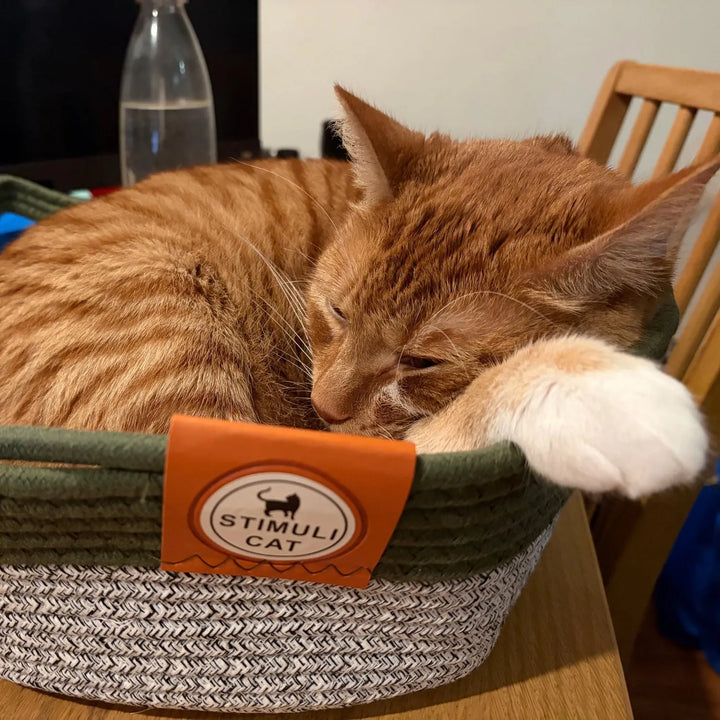 Handwoven Wicker Cat Basket – 2 Sizes, Toy &amp; Scratch‑Safe