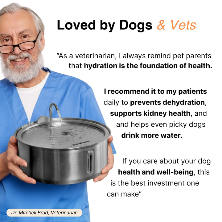 Large Capacity 7L Pet Water Fountain with Filter – Stainless Steel