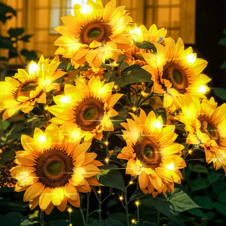 Solar Sunflower Lights – Bigger &amp; Brighter for Seniors&