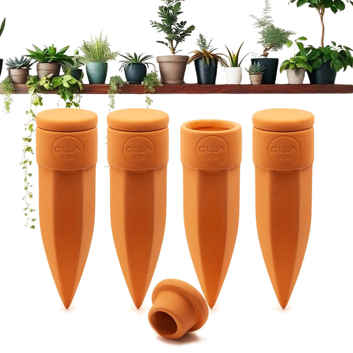 Terracotta Watering Spikes with Lids (4 or 6-Pack) - DHACTIVE