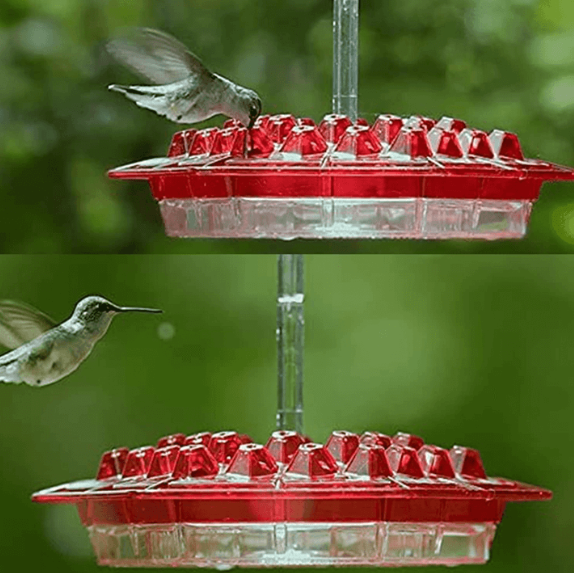 Ant Proof Hummingbird Feeder | 30 Feeding Ports, UV Resistant &amp; Ideal for Outdoor Bird Watching