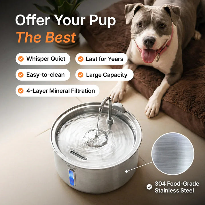 Large Capacity 7L Pet Water Fountain with Filter – Stainless Steel