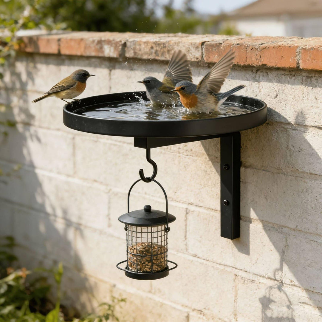 Wall-Mounted Metal Bird Bath &amp; Feeder Station with Hanging Hook