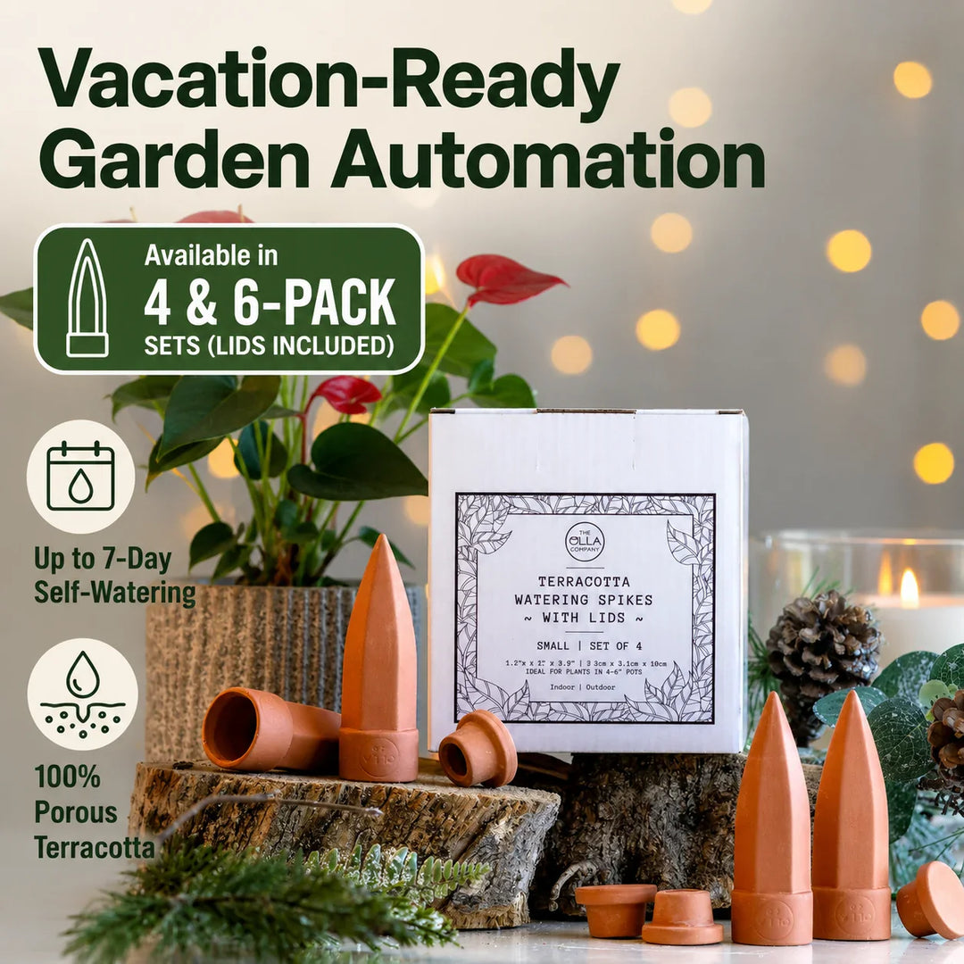 Terracotta Watering Spikes with Lids (4 or 6-Pack) - DHACTIVE 2