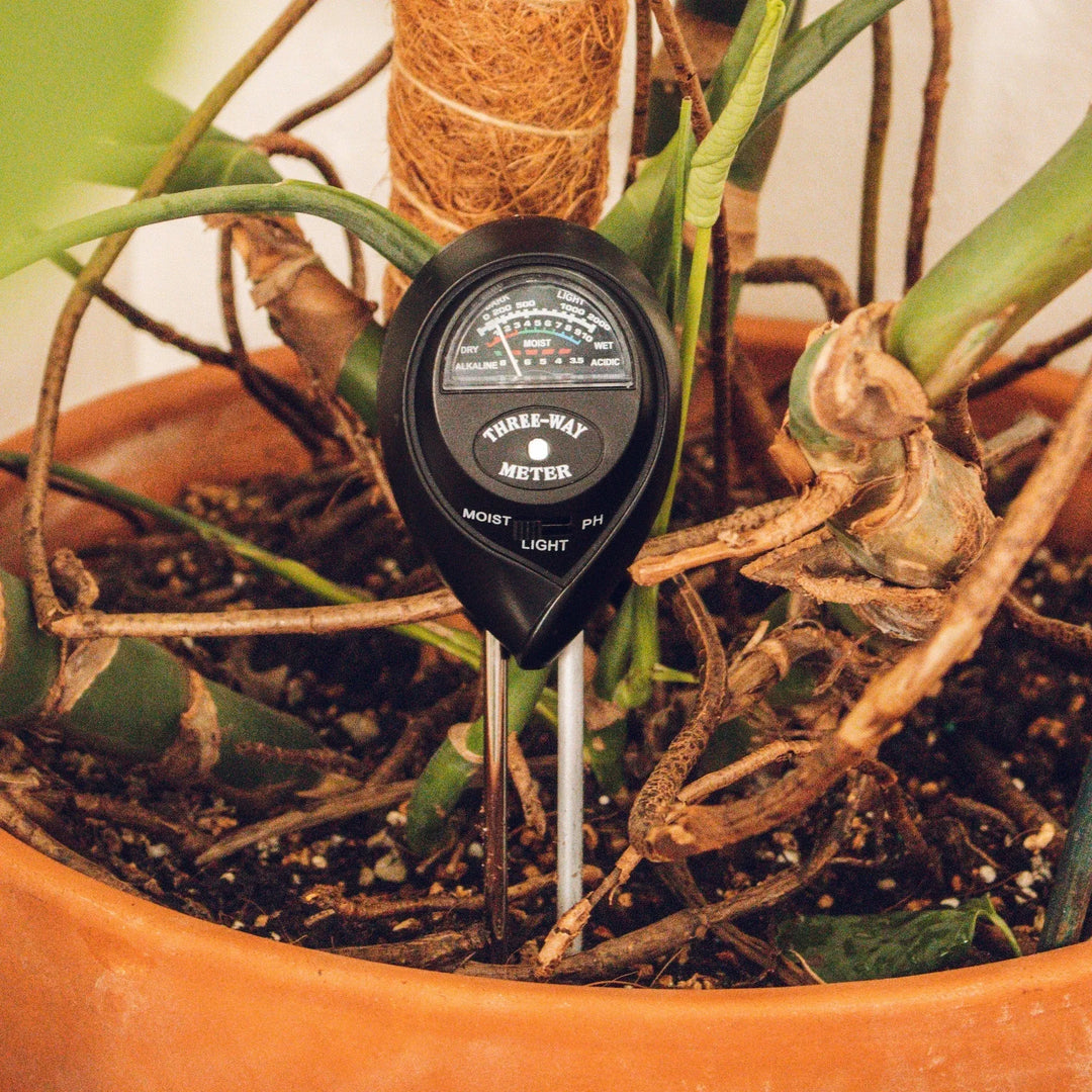 Plant Water Meter &amp; Soil Tester for Healthy Growth