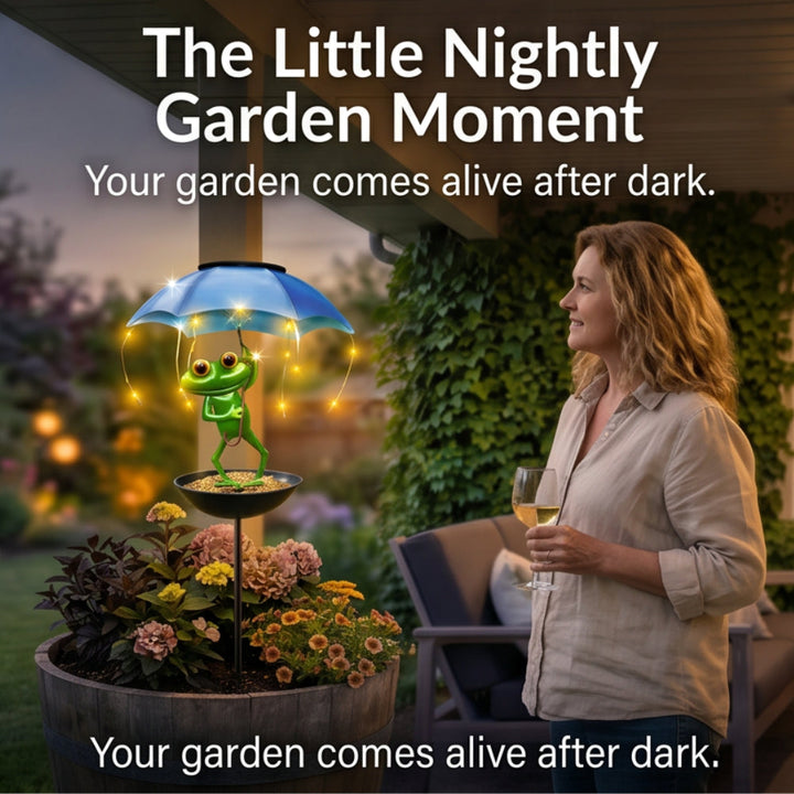 Magic Frog – Adorable Solar Bird Feeder for Backyard Birds - DHACTIVE 5