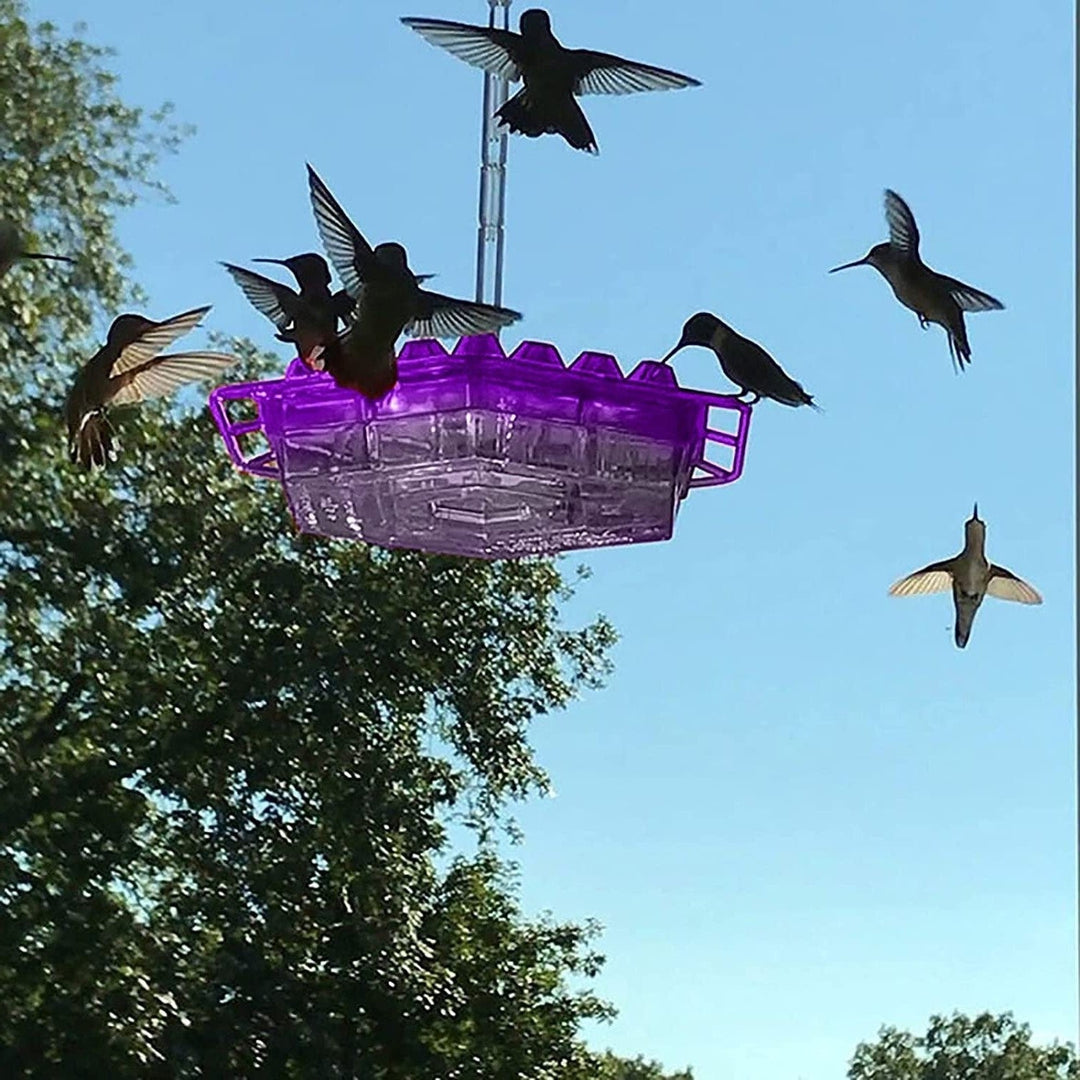 Ant Proof Hummingbird Feeder – 30 Feeding Ports, UV Resistant & Ideal for Outdoor Bird Watching - DHACTIVE