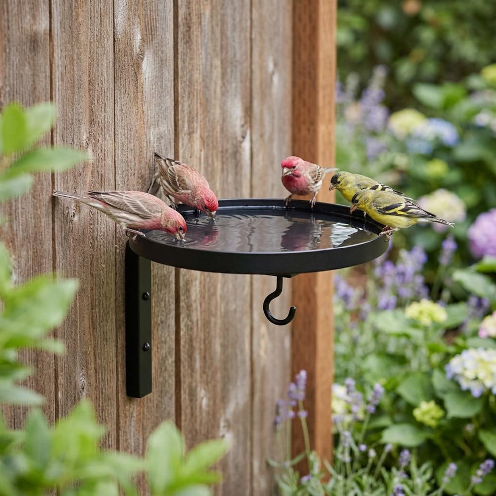 Wall-Mounted Metal Bird Bath & Feeder Station with Hanging Hook - DHACTIVE 2