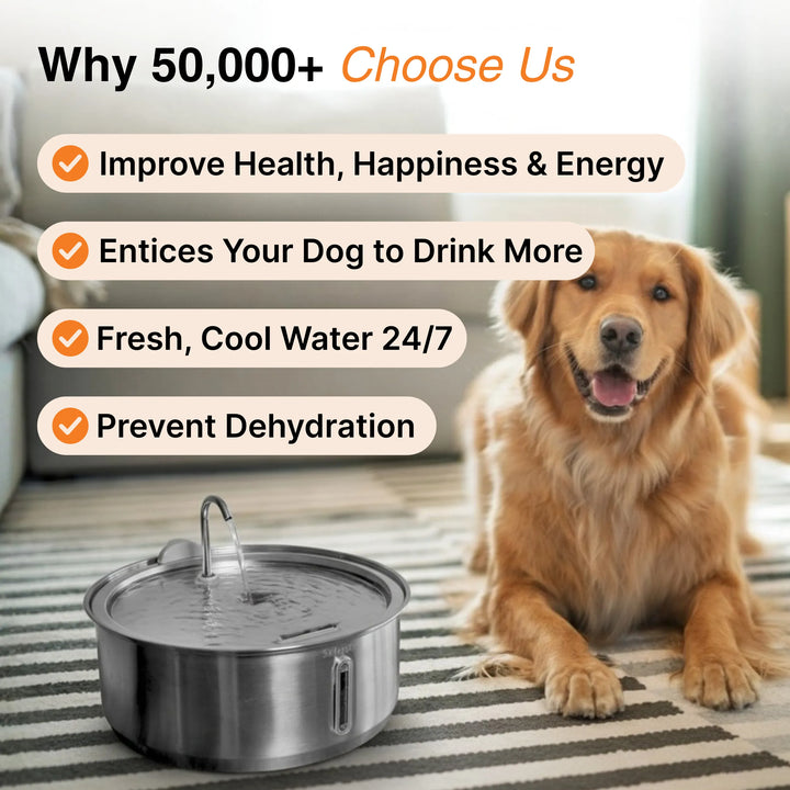 Large Capacity 7L Pet Water Fountain with Filter – Stainless Steel