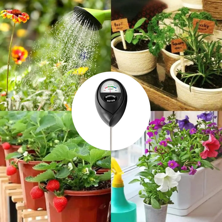 Plant Water Meter &amp; Soil Tester for Healthy Growth