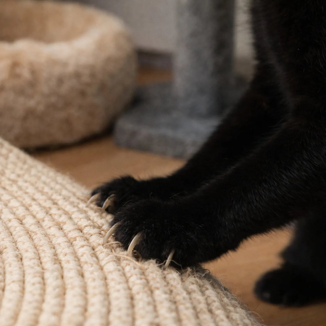 Handwoven Wicker Cat Basket – 2 Sizes, Toy &amp; Scratch‑Safe