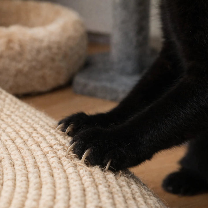 Handwoven Wicker Cat Basket – 2 Sizes, Toy &amp; Scratch‑Safe