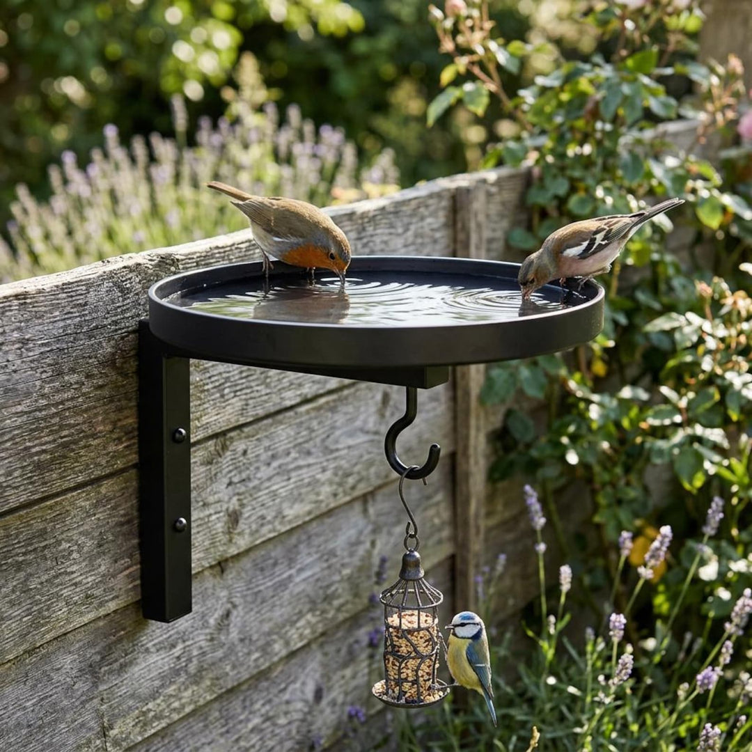 Wall-Mounted Metal Bird Bath &amp; Feeder Station with Hanging Hook - DHACTIVE 3