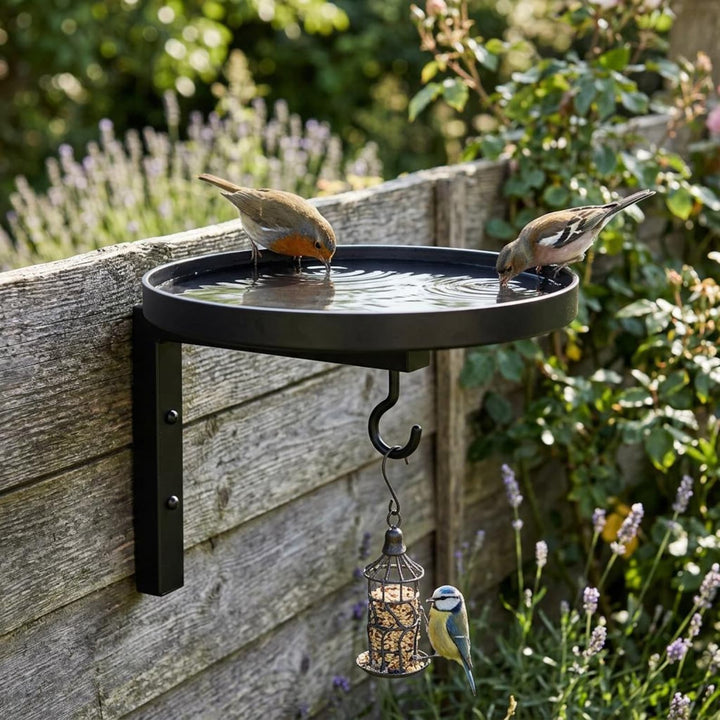 Wall-Mounted Metal Bird Bath &amp; Feeder Station with Hanging Hook - DHACTIVE 3