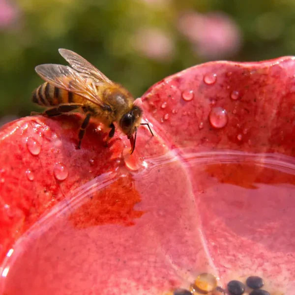 Handmade Bee Blossoms - All-Weather Ceramic Drinking Bowls, Set of 4 - DHACTIVE 5