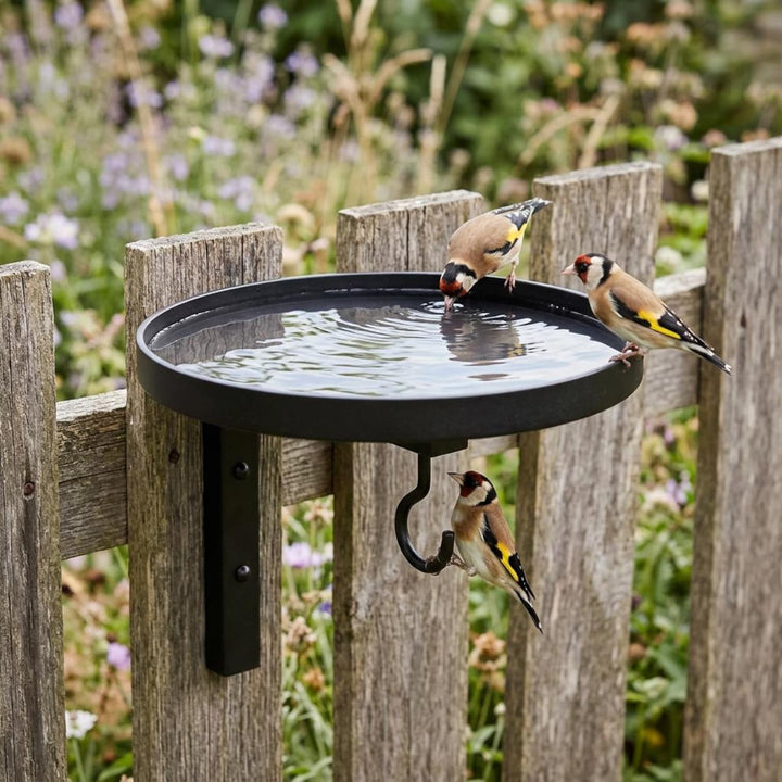 Wall-Mounted Metal Bird Bath &amp; Feeder Station with Hanging Hook - DHACTIVE 6