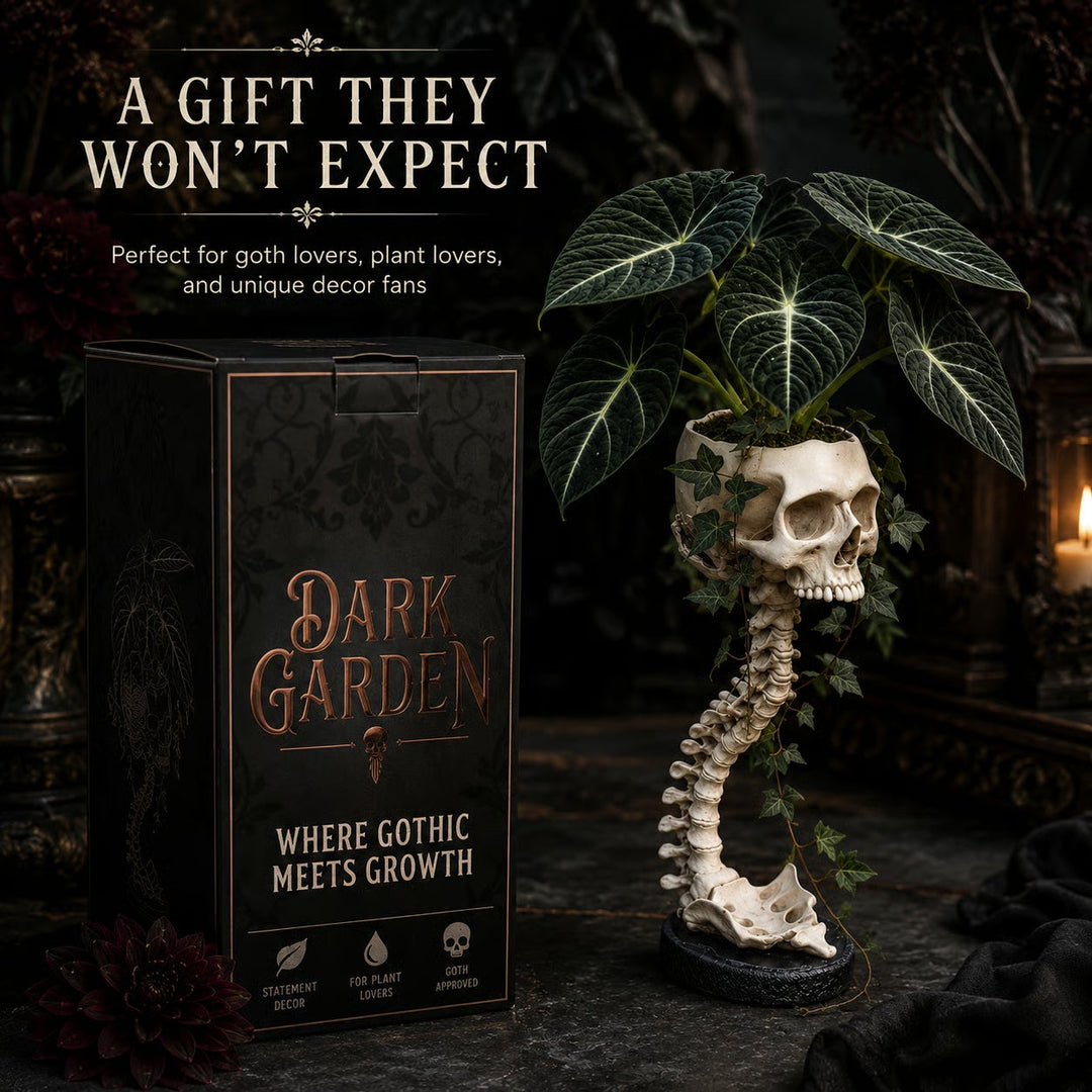 Skull Planter with Stand – Halloween Decor for Shelves