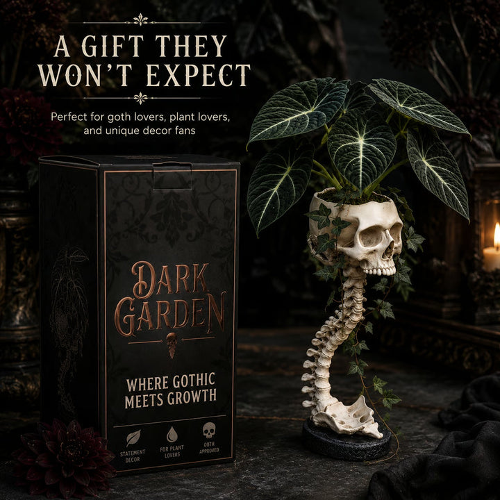 Skull Planter with Stand – Halloween Decor for Shelves