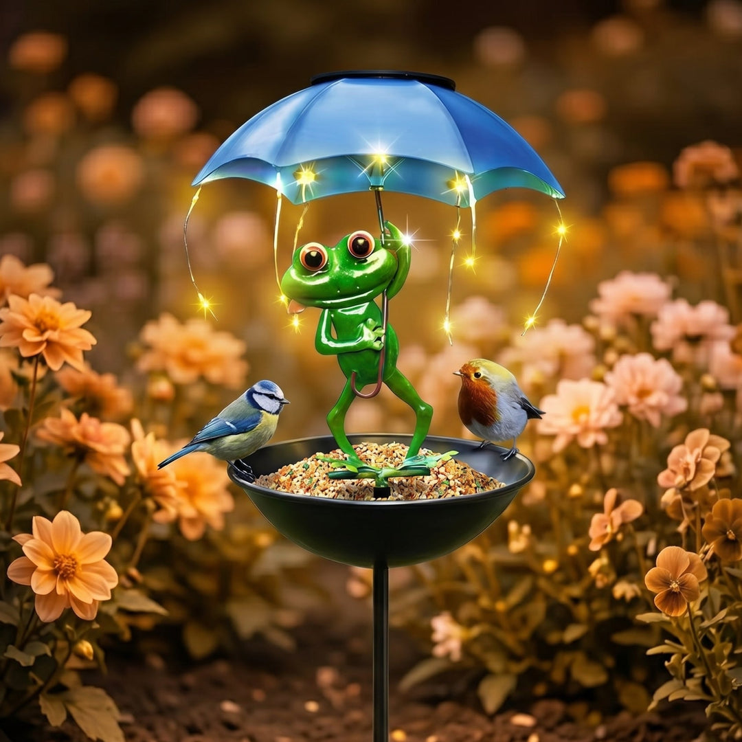 Magic Frog – Adorable Solar Bird Feeder for Backyard Birds - DHACTIVE