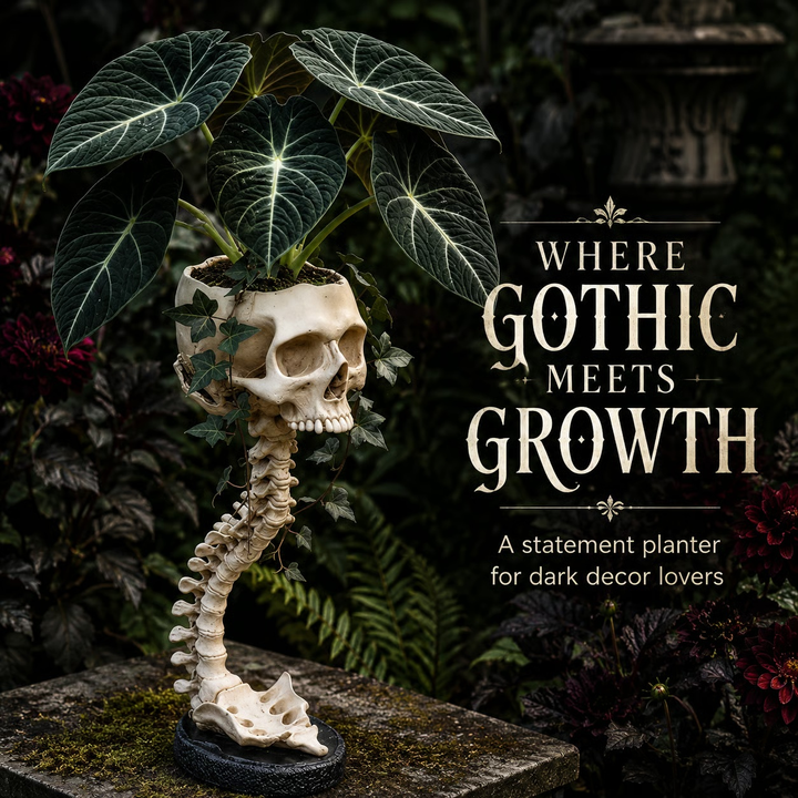 Skull Planter with Stand – Halloween Decor for Shelves