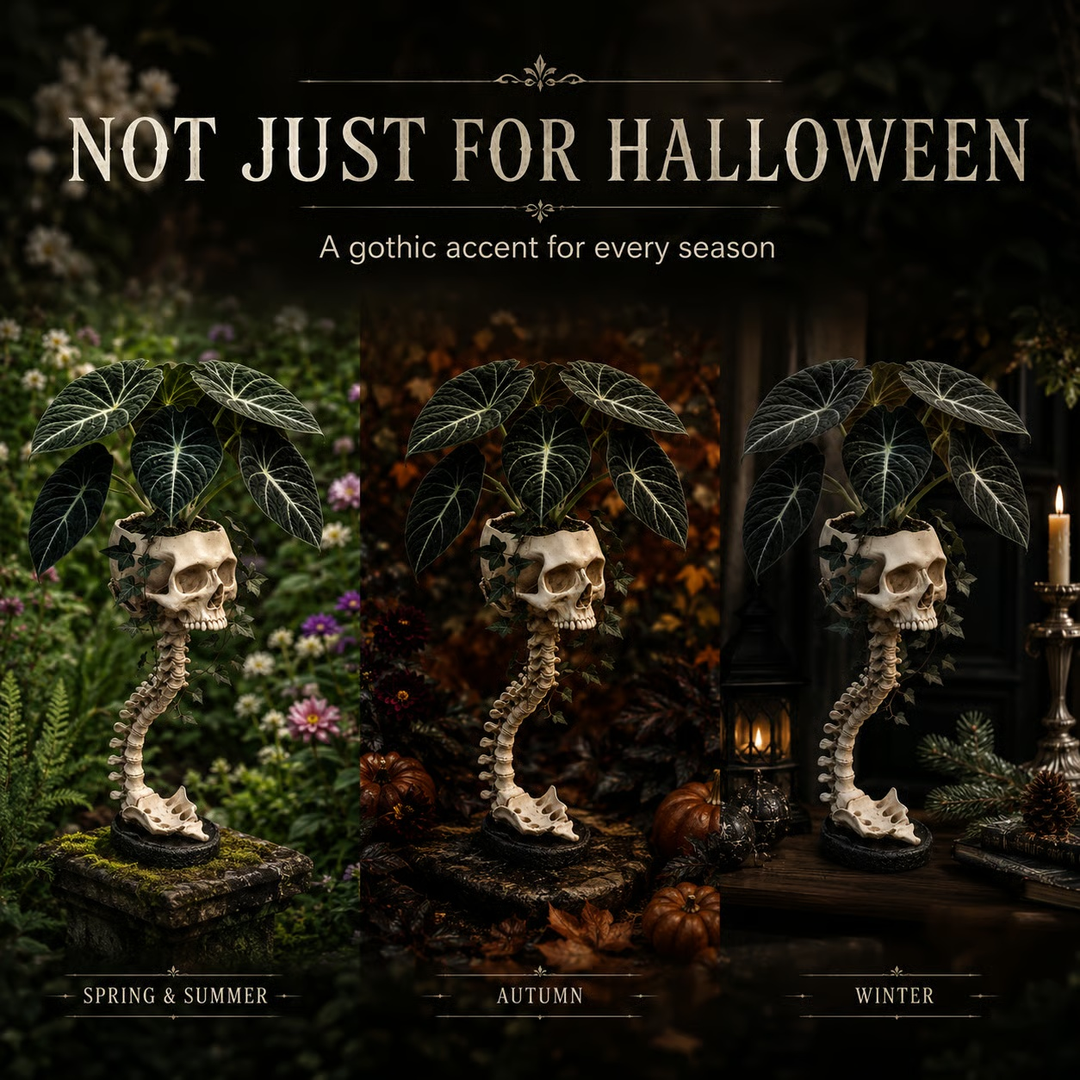 Skull Planter with Stand – Halloween Decor for Shelves