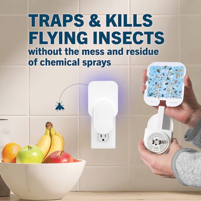 Home Indoor Flying Insect Trap for Fruit Flies, Gnats, Moths, House Flies - DHACTIVE 2