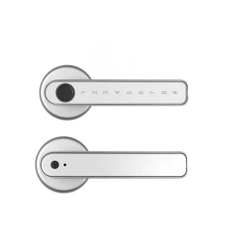 Fingerprint Smart door lock handle with Bluetooth APP control - DHACTIVE 13